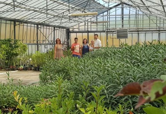 Jury Visit, South Aegean