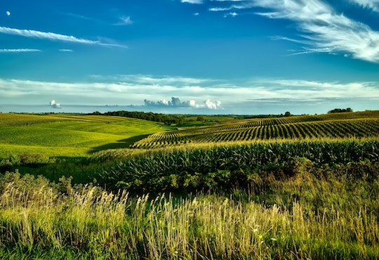 UNESCO food and culture forum dishes up fresh serving of SDGs