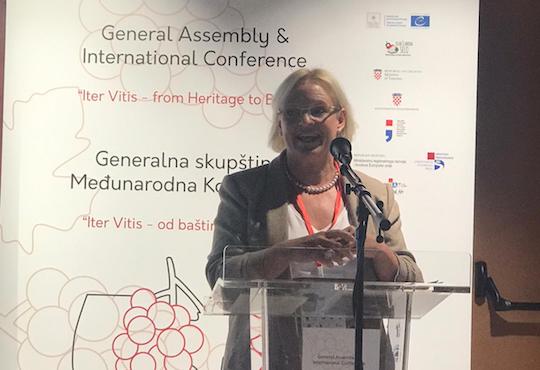 Tourism, gastronomy and wine are inseparable in Europe