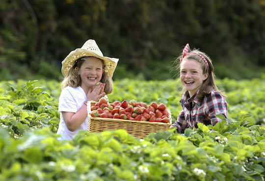 Focussing on food, well-being and wellness tourism