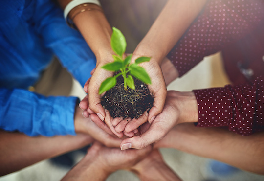 Regions of Gastronomy_A force for good when they work together