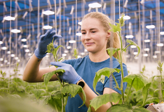 Food Film Menu 2020- Best Food Film showcasing the Regions of Gastronomy announced