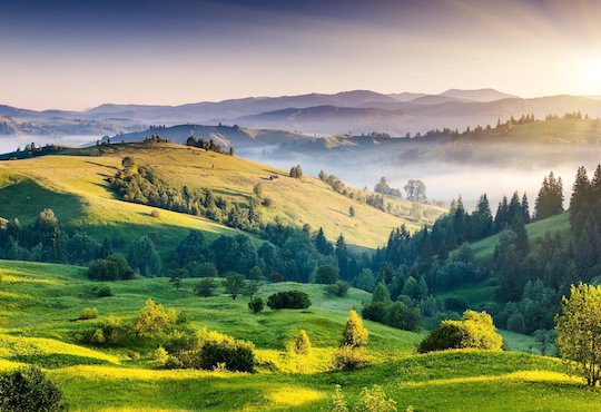 Historic UN Summit on Biodiversity sets stage for a global movement toward a green recovery from COVID-19