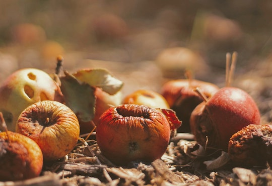 Food waste prevention is a UN sustainability goal