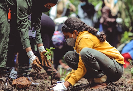 Nature-based Solutions can save the planet, but only if we change our diets too