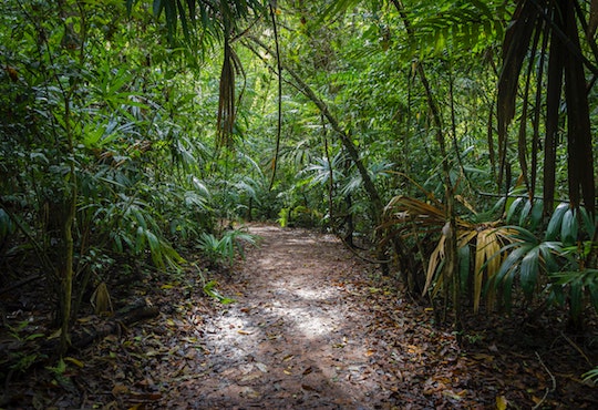 New report shows Indigenous and Tribal Peoples