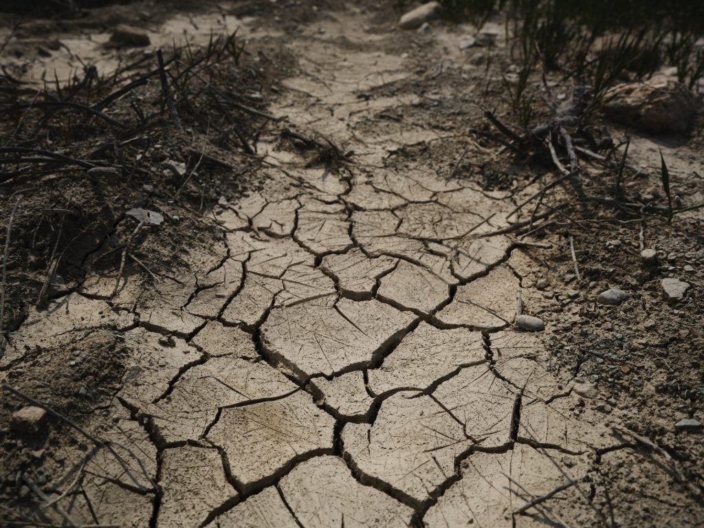 Climate Change Is Driving Millions to the Precipice of a ‘Raging Food Catastrophe’