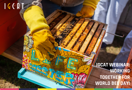 Raising the profile of natural honey and preservation of bees