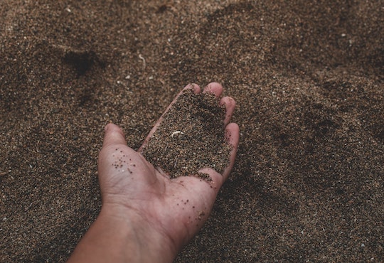 Four new reports highlight importance of the microbiome for food safety, soils and nutrition