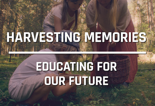 Food Film Menu 2023 - Best Food Film in the Educating for Our Future category