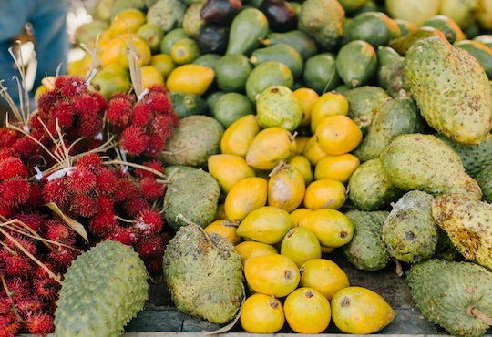 Student gastronomes plan recipe for Madagascar’s future