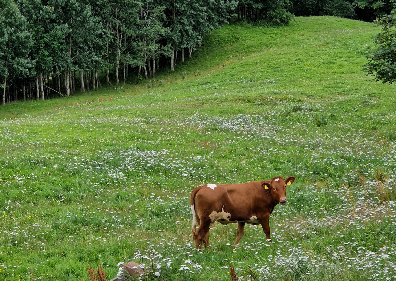 2022_Platform Meeting Trondheim Trondelag -220727-0027