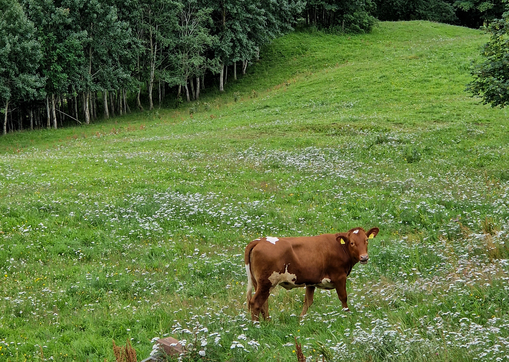 2022_Platform Meeting Trondheim Trondelag -220727-0027