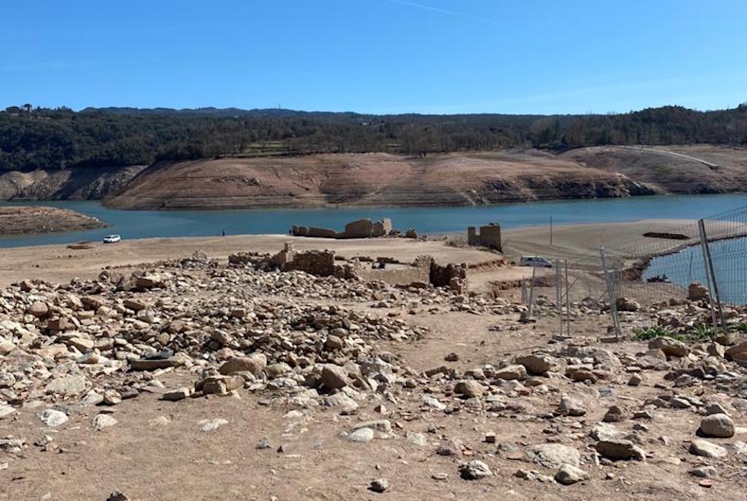 Loss of Biodiversity example