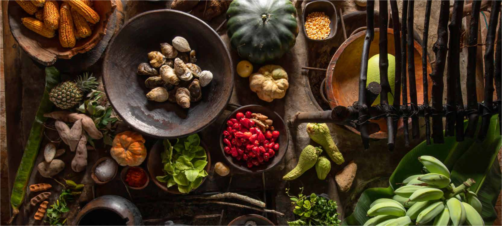 Manabí Awarded 2026